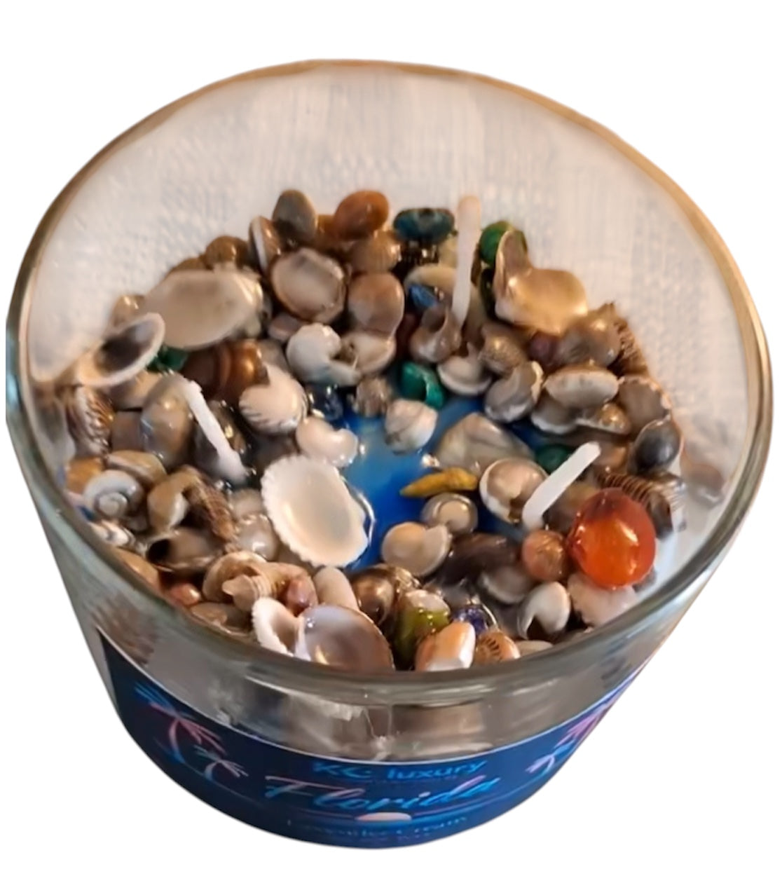 Florida Coastal Shell Candle | Custom Scent Luxury Soy Candle | Florida Inspired Candle | 7oz & 12oz